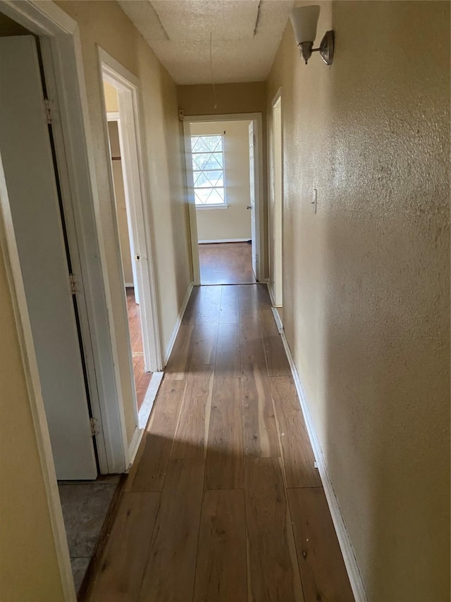 corridor with light wood-type flooring