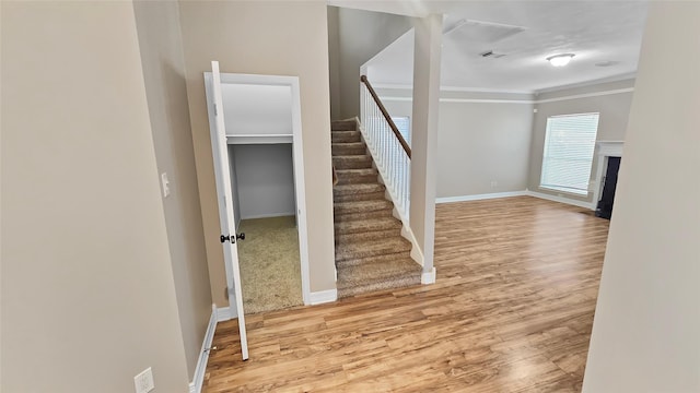 stairway with wood-type flooring