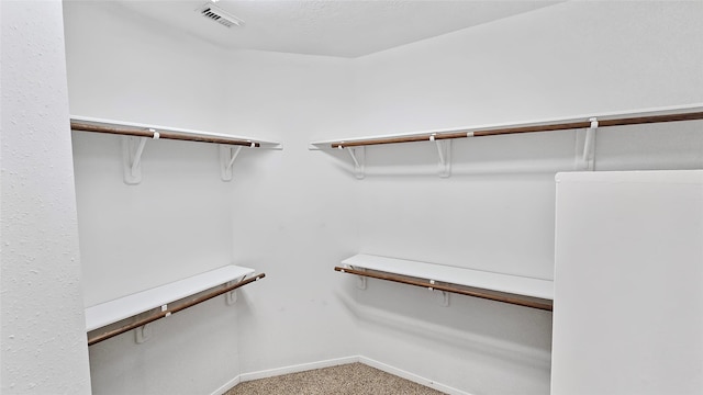 spacious closet featuring carpet floors