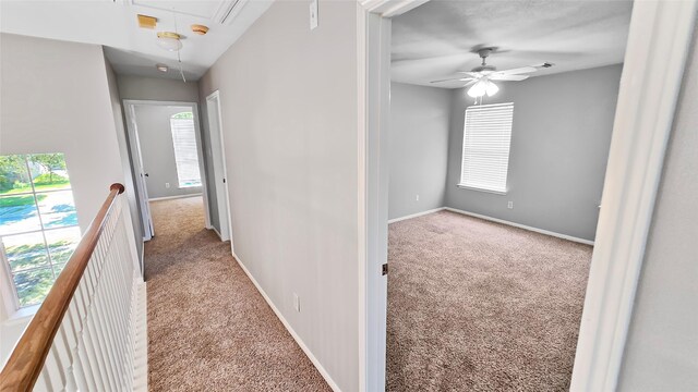 hall with light carpet and a wealth of natural light