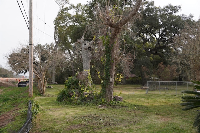 view of yard