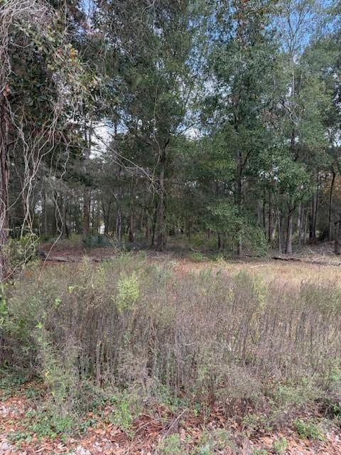 10235 Cossey Rd, Houston TX, 77070 land for sale