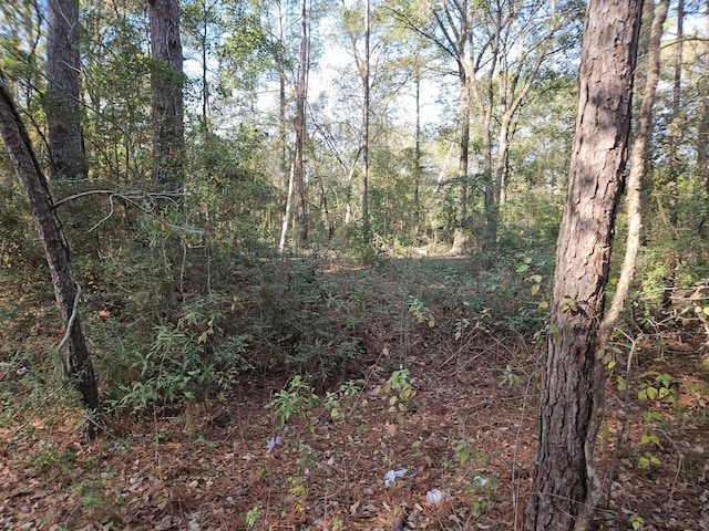 0000 Pinecone Ln, Plantersville TX, 77363 land for sale