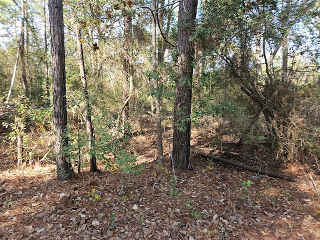 Listing photo 3 for 0003 Pinecone Ln, Plantersville TX 77363