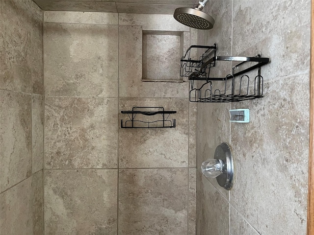 interior details with walk in shower