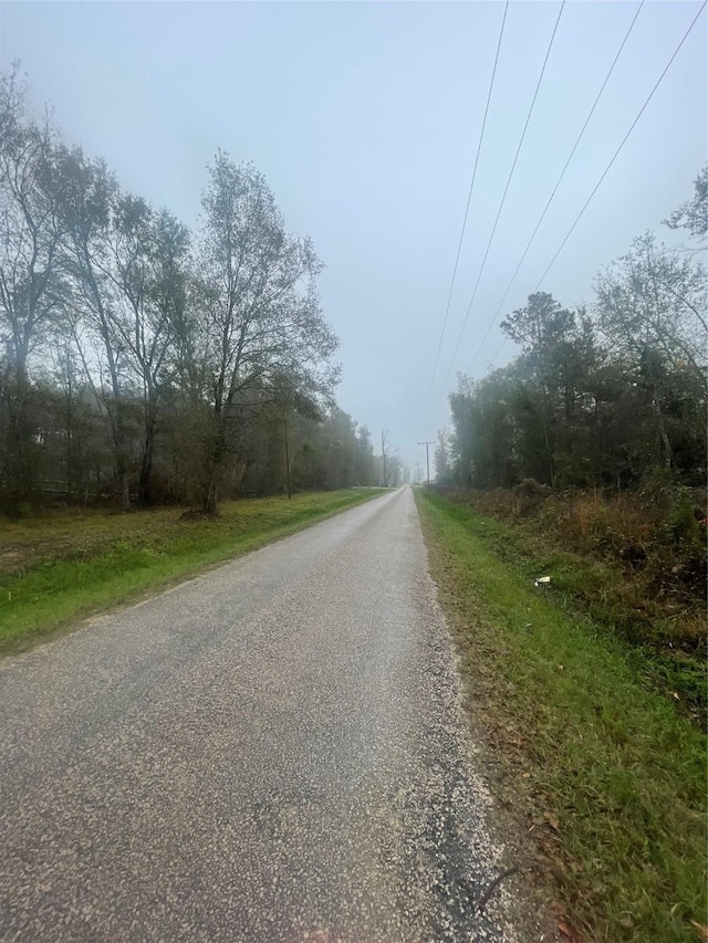 151 Thomas Windt Rd, Shepherd, TX 77371 - photo 8