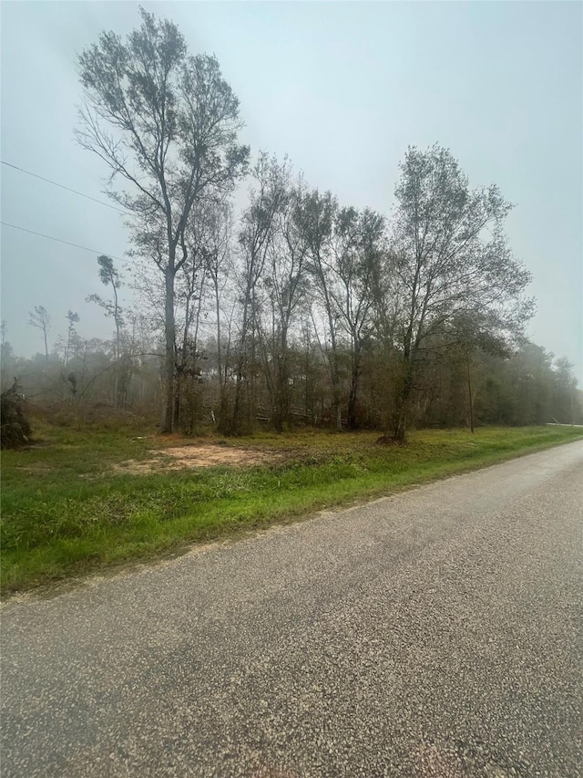 151 Thomas Windt Rd, Shepherd, TX 77371 - photo 9