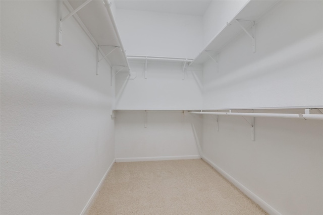 spacious closet with light colored carpet