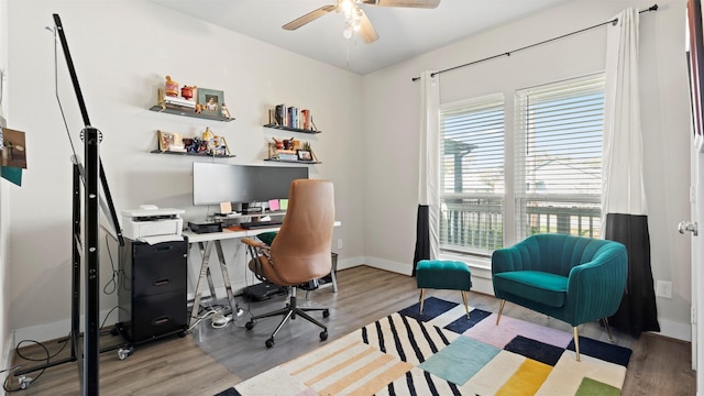 office featuring ceiling fan and wood-type flooring