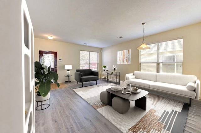 living room featuring wood-type flooring