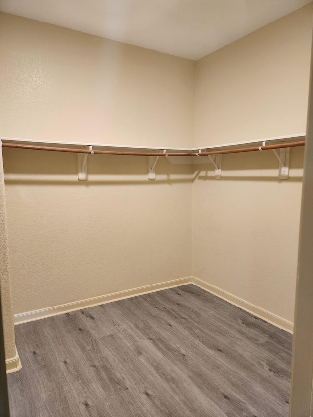 walk in closet with dark wood-type flooring