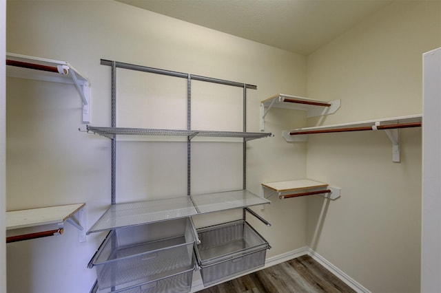 walk in closet featuring hardwood / wood-style flooring