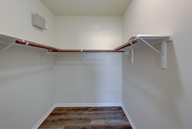 walk in closet featuring wood-type flooring