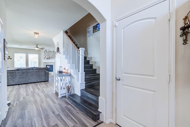 stairway featuring hardwood / wood-style flooring and ceiling fan