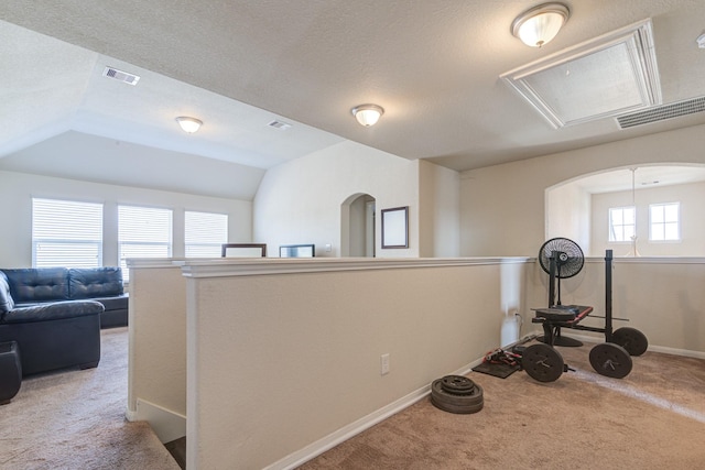 workout room featuring lofted ceiling, light colored carpet, and a healthy amount of sunlight