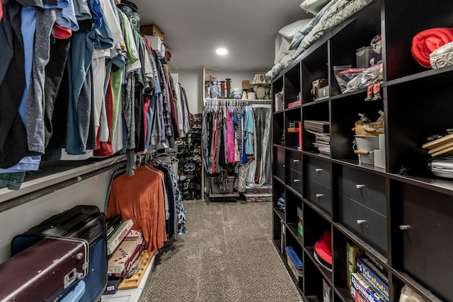 spacious closet featuring carpet floors