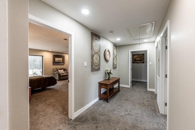 hallway featuring carpet floors