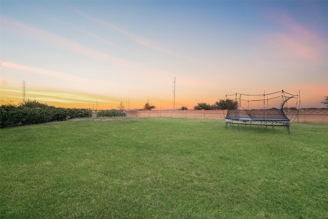 yard at dusk with a trampoline