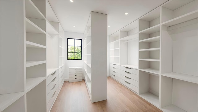 walk in closet with light hardwood / wood-style flooring