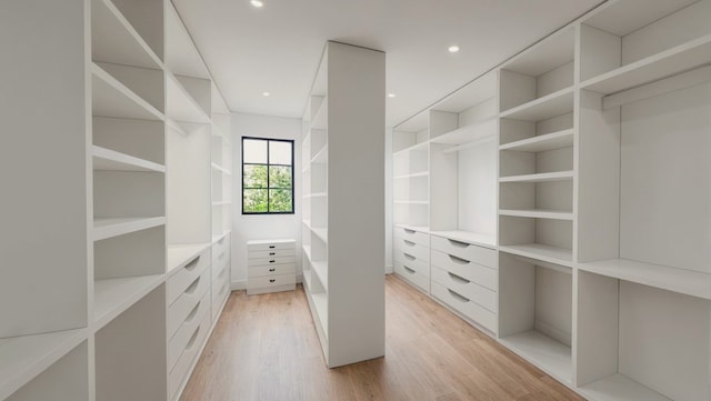 walk in closet with light wood-type flooring