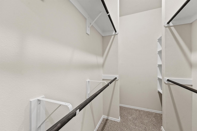 walk in closet featuring carpet