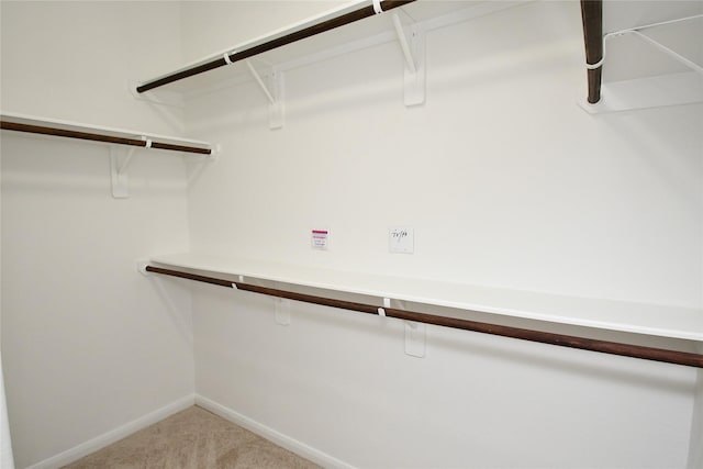 spacious closet featuring light colored carpet