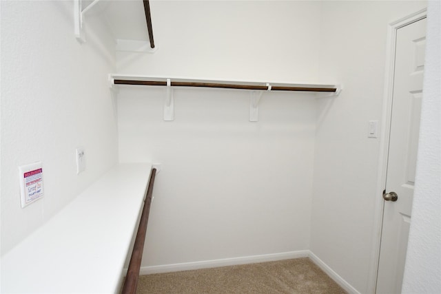 walk in closet with light carpet