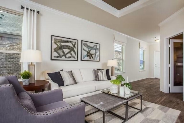 living room with wood-type flooring and crown molding