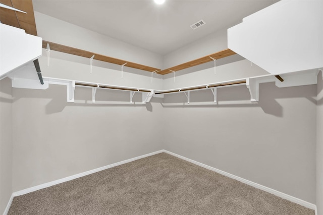 spacious closet featuring carpet floors