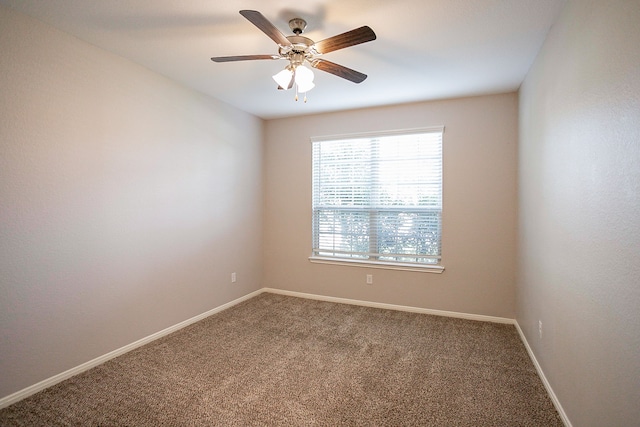 unfurnished room featuring ceiling fan and carpet floors