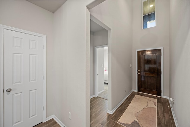 foyer entrance featuring dark hardwood / wood-style flooring