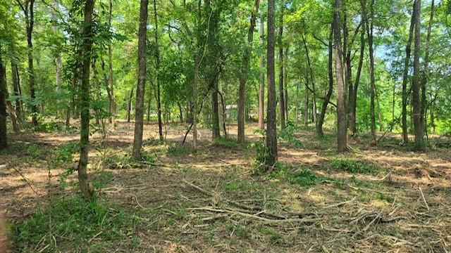 TBD Lake Dr W, Willis TX, 77378 land for sale