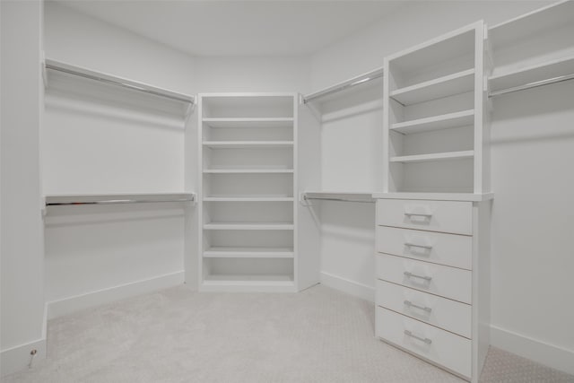 spacious closet with light colored carpet