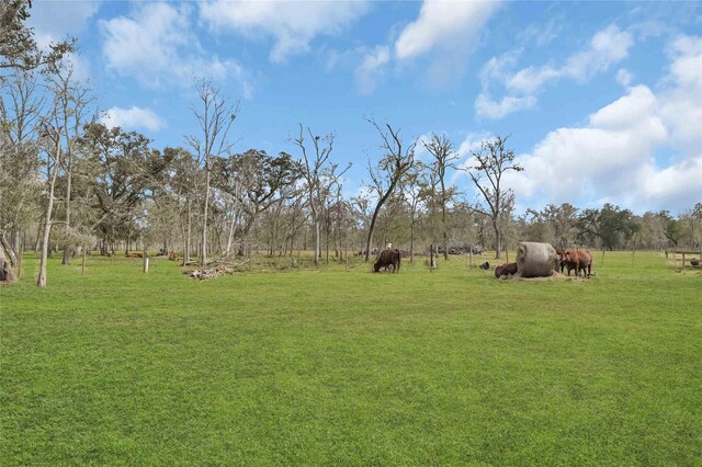 16423 County Road 528, Rosharon, TX 77583 - photo 33