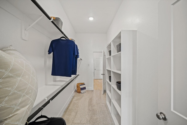 spacious closet featuring carpet floors