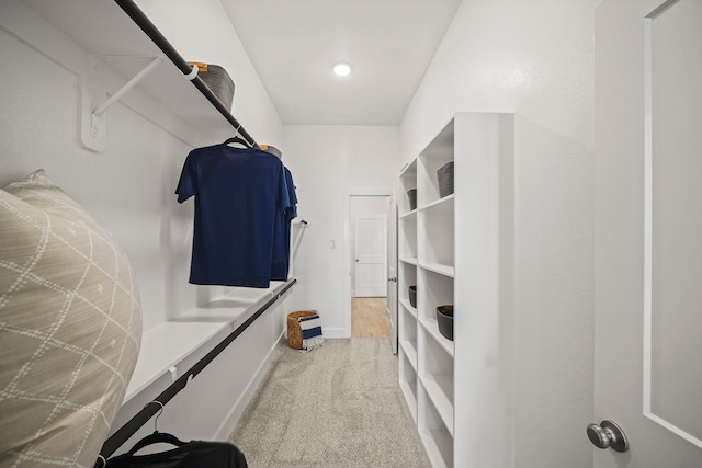 spacious closet with carpet