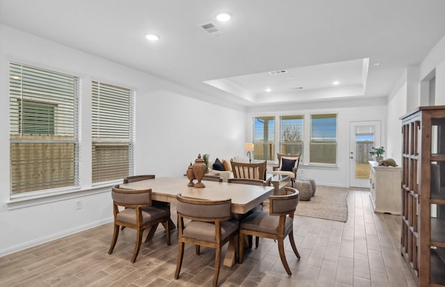 dining room featuring a raised ceiling