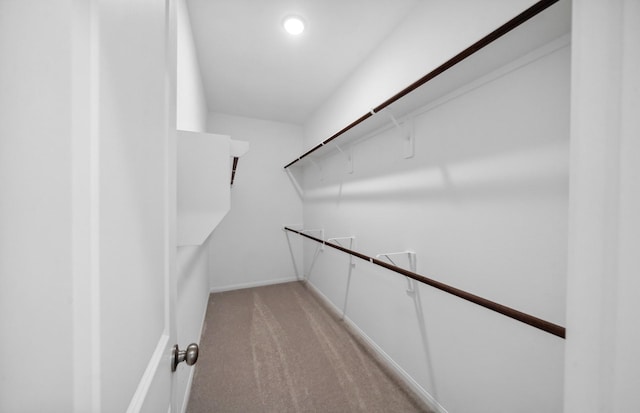 spacious closet featuring light colored carpet