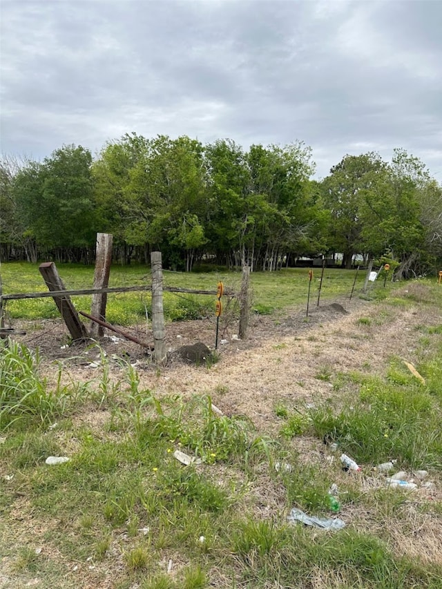 10717 Cullen Blvd, Houston, TX 77047 - photo 9