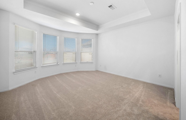 spare room with light carpet, a raised ceiling, and visible vents