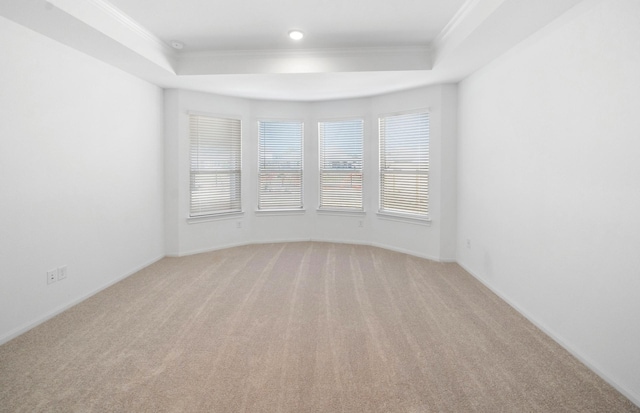 empty room featuring light carpet, ornamental molding, and a raised ceiling