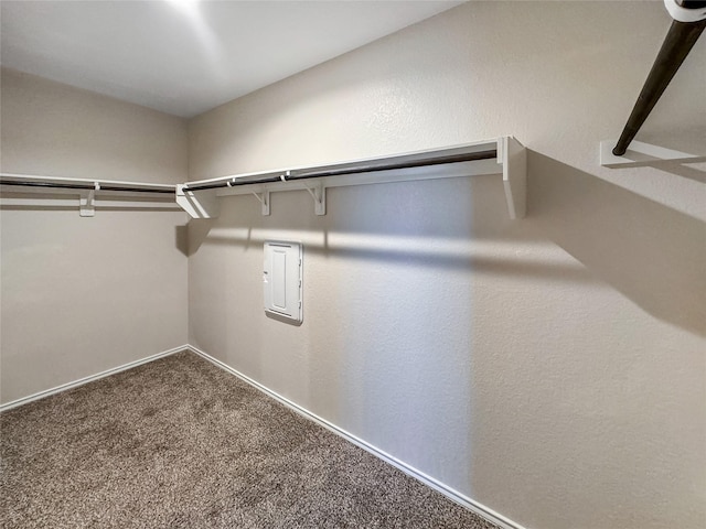 spacious closet with carpet flooring and electric panel