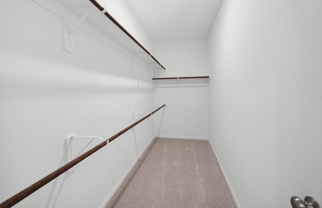 spacious closet with light carpet