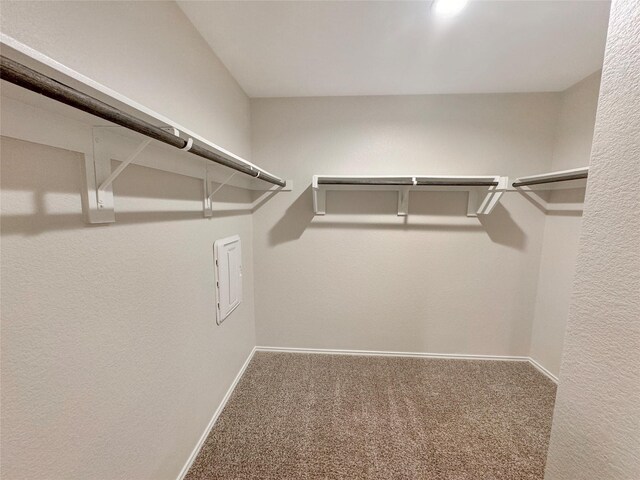 spacious closet with carpet flooring