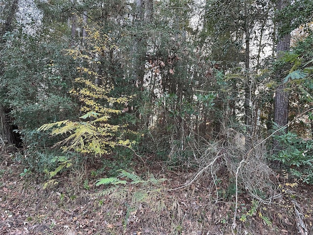 Listing photo 2 for TBD Gary Ct, Livingston TX 77351