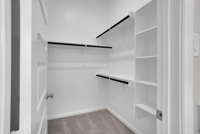 walk in closet with carpet