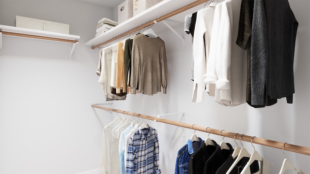 view of spacious closet