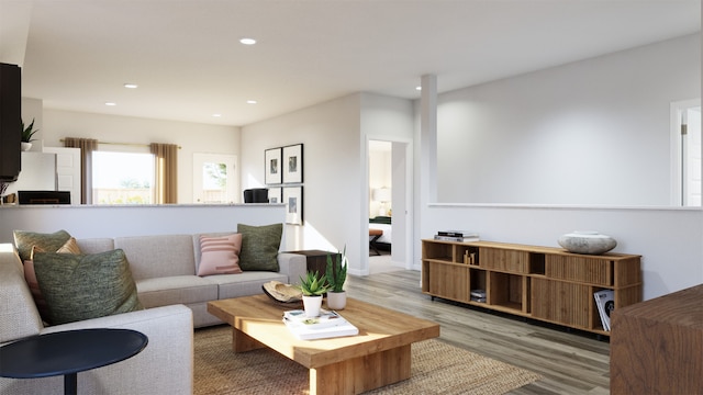 living room featuring hardwood / wood-style flooring