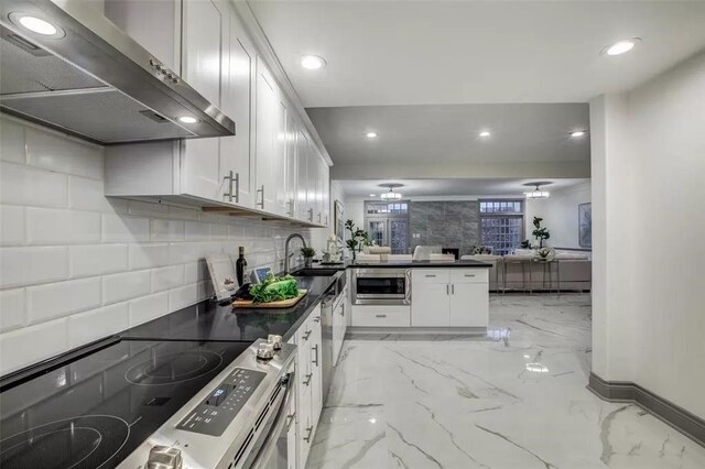 kitchen with white cabinetry, sink, range hood, and appliances with stainless steel finishes