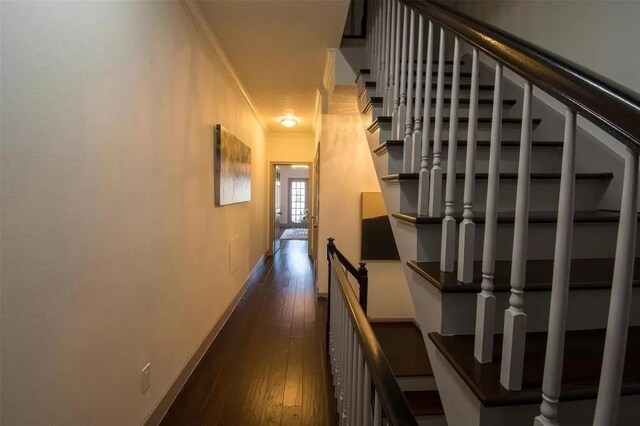 hall featuring dark hardwood / wood-style floors and ornamental molding